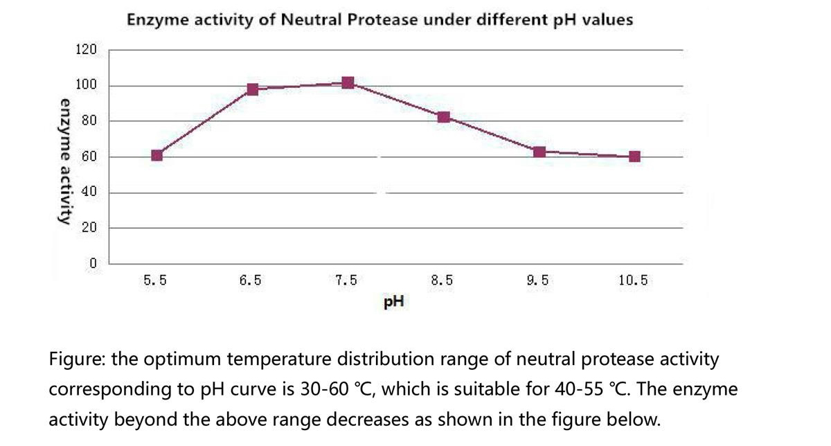 Neutral protease（food grade）(图3)