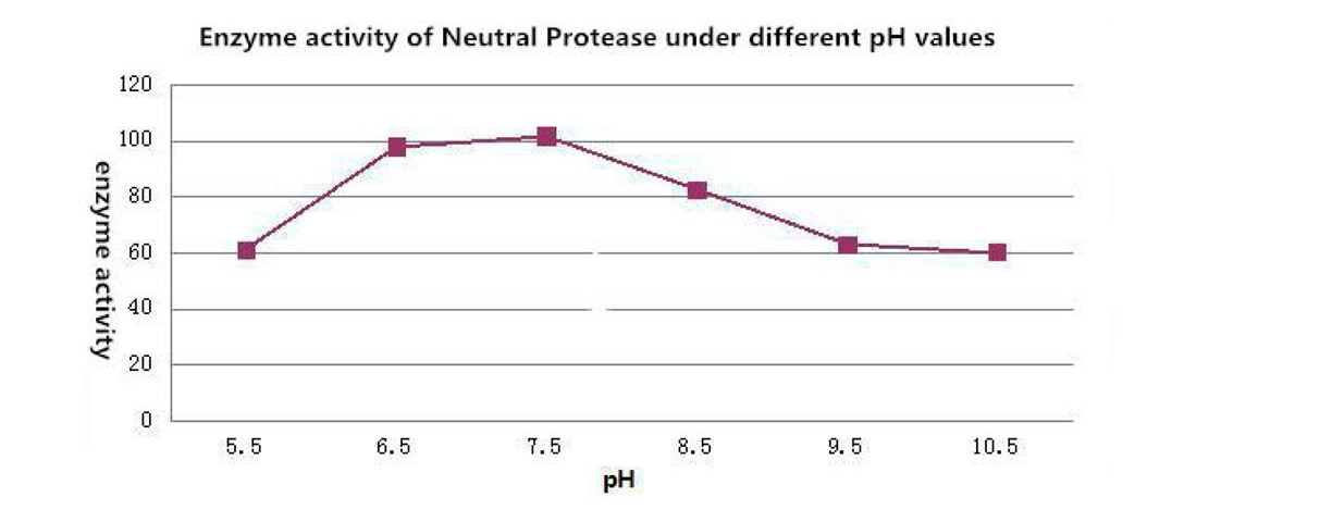 Neutral protease