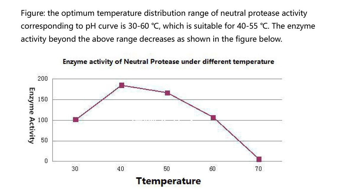 Neutral protease